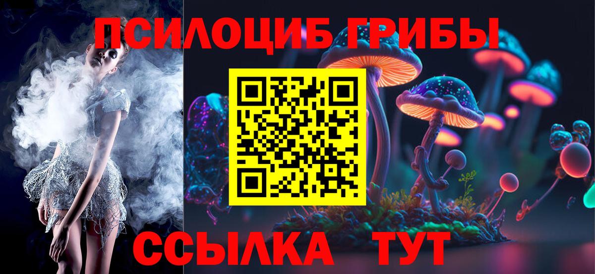 Красный Сулин  Псилоцибиновые грибы Cubensis  Вход с VPN 