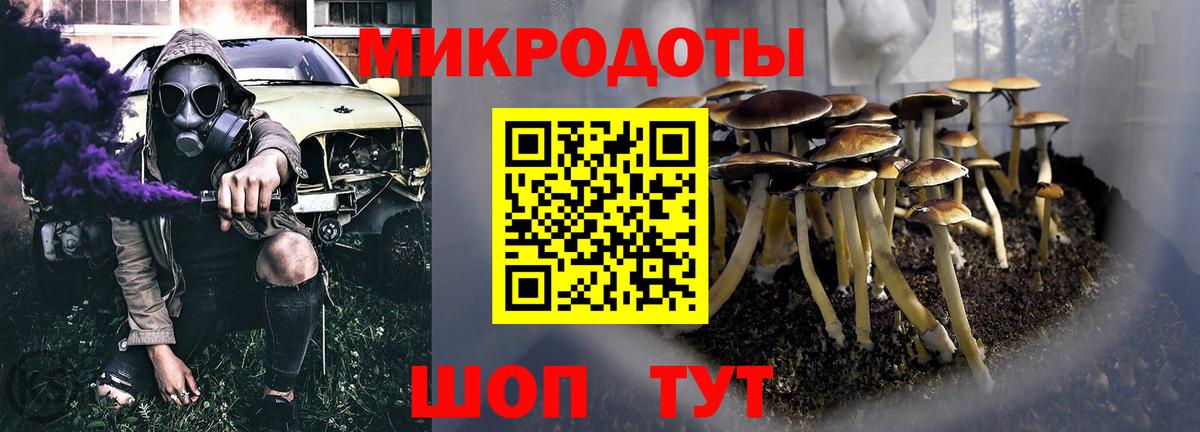 Псилоцибиновые грибы GOLDEN TEACHER Красный Сулин